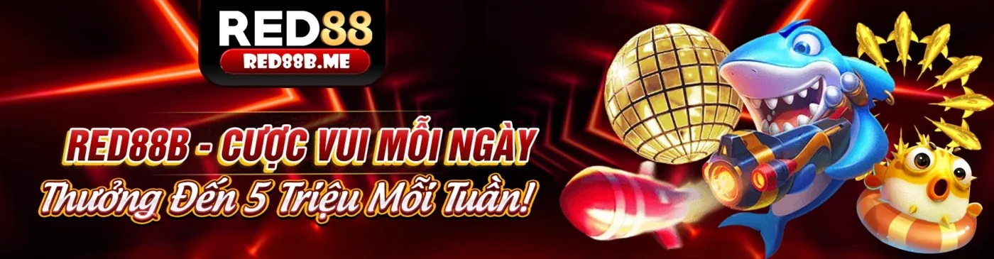 Sân vận động đầy ắp khán giả và không khí cá cược thể thao sôi động tại u888love